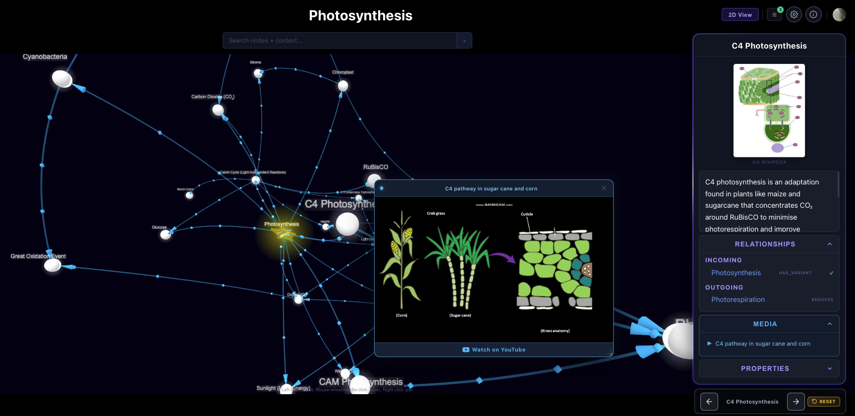 A GeNexus graph on photosynthesis with a YouTube video playing inside the node info panel